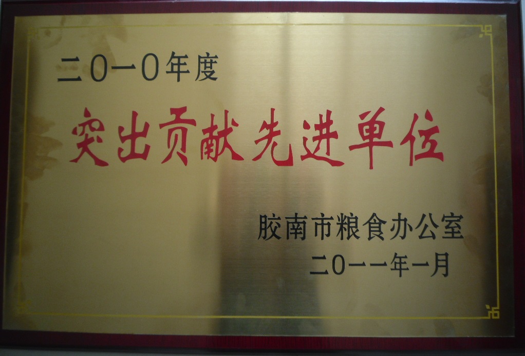 2010突出贡献先进单位